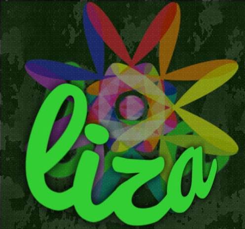 Liza Pay
